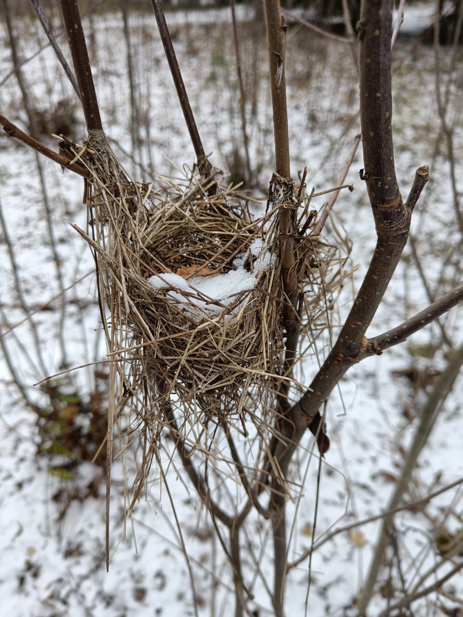 Valokuvaaja: Jenna Pitkänen