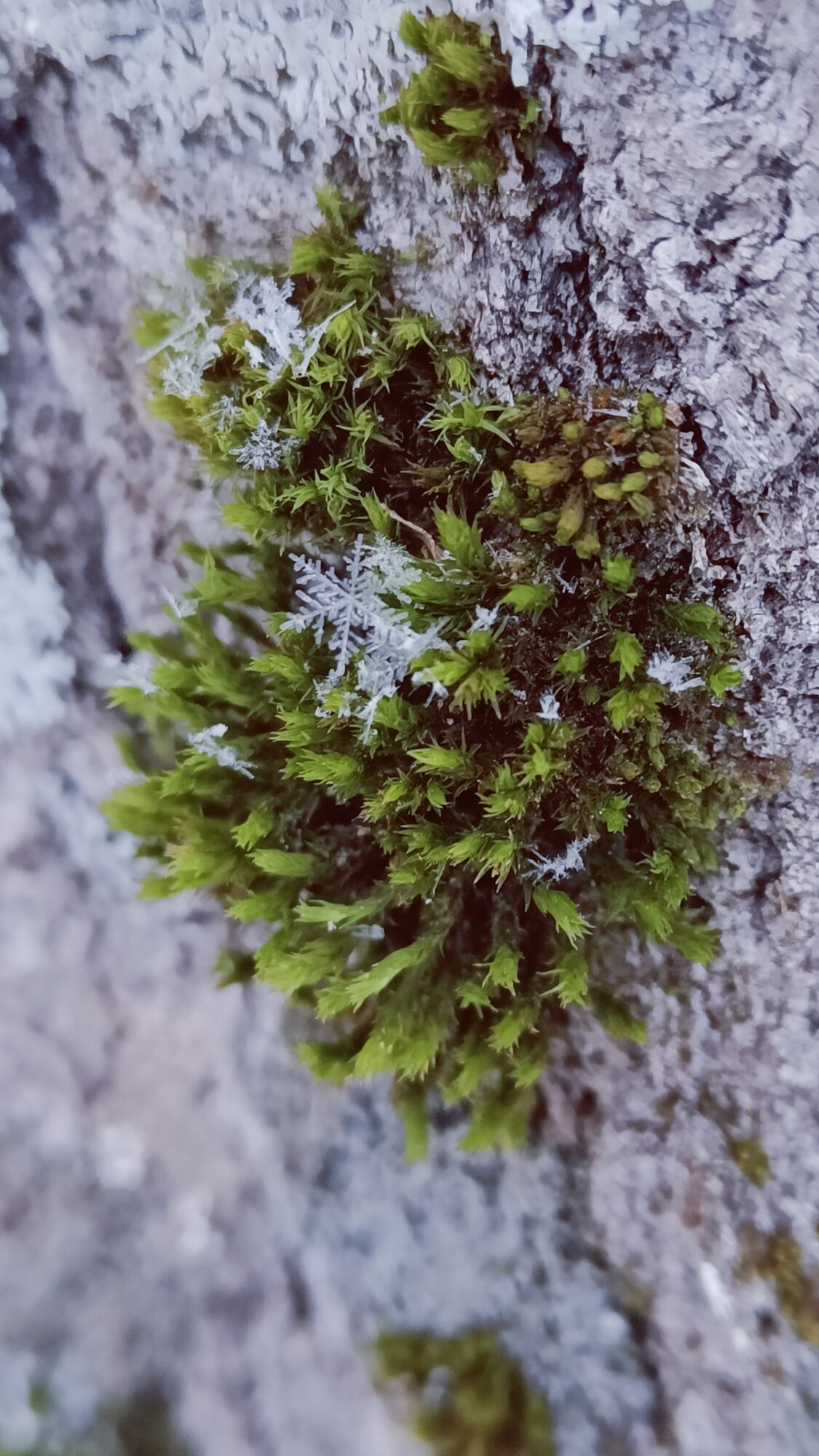 Valokuvaaja: Jenna Pitkänen