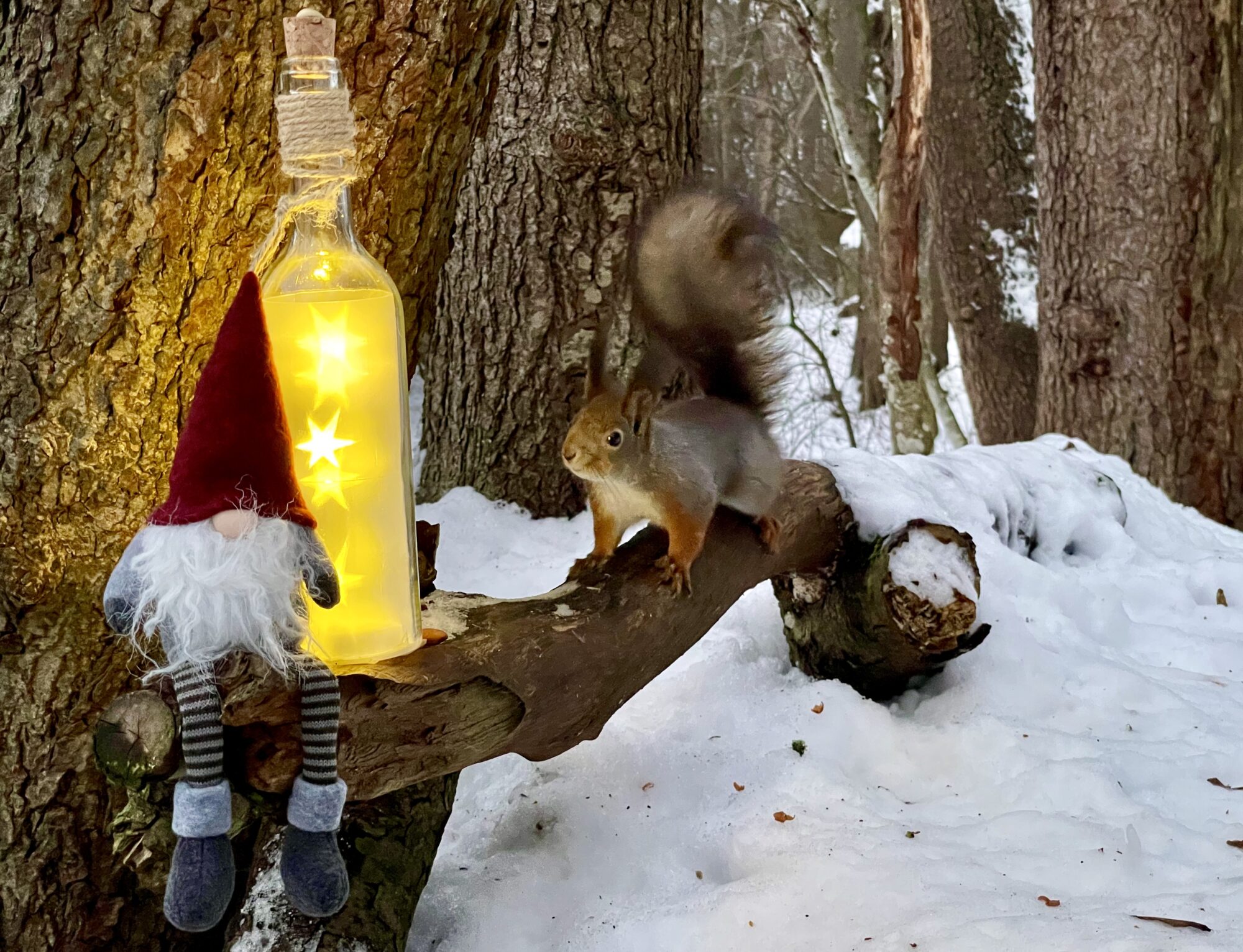 Valokuvaaja: Juhani Peltonen