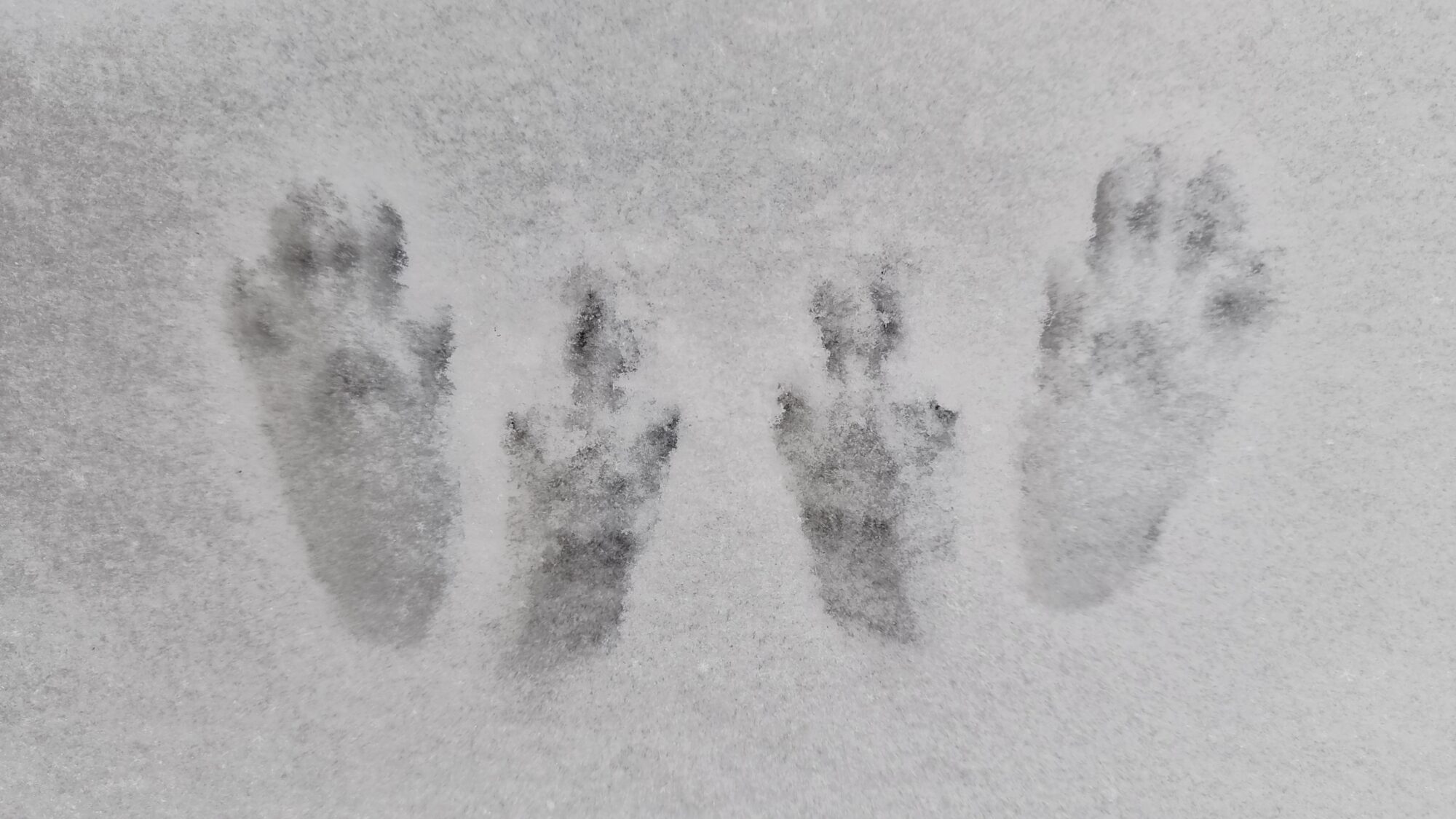 Valokuvaaja: Jenna Pitkänen