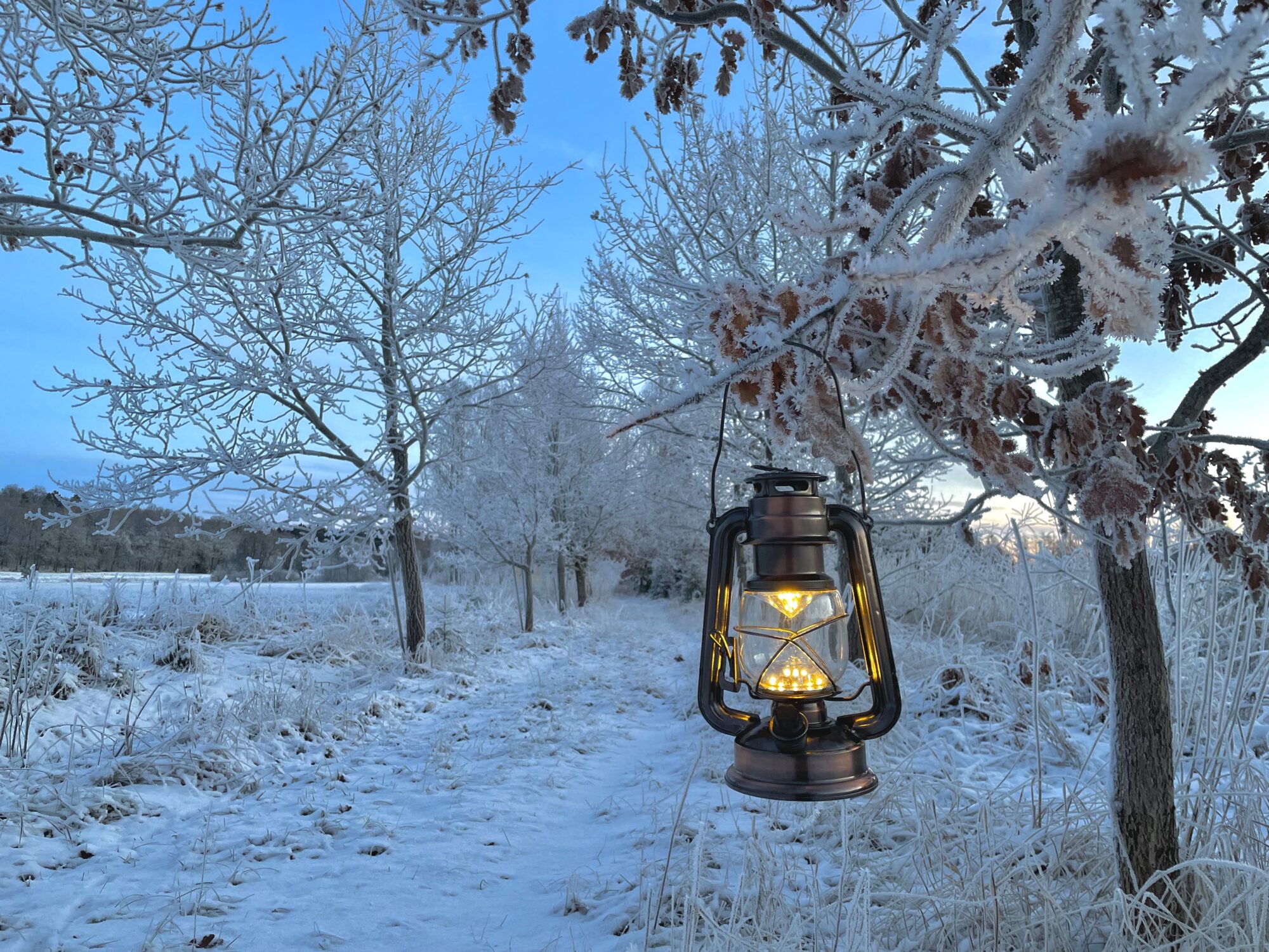 Valokuvaaja: Juhani Peltonen