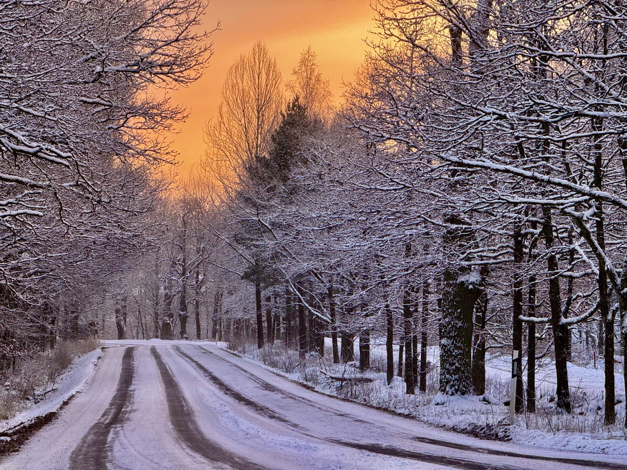 Valokuvaaja: Juhani Peltonen Valokuvaaja: Juhani Peltonen