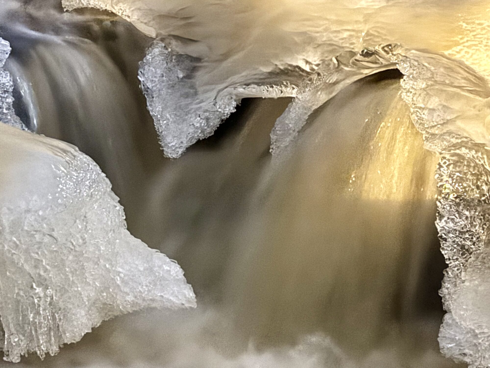 Valokuvaaja: Juhani Peltonen