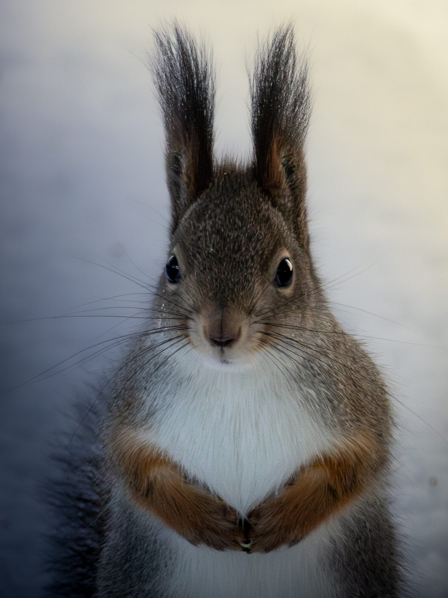 Valokuvaaja: Leevi Halme