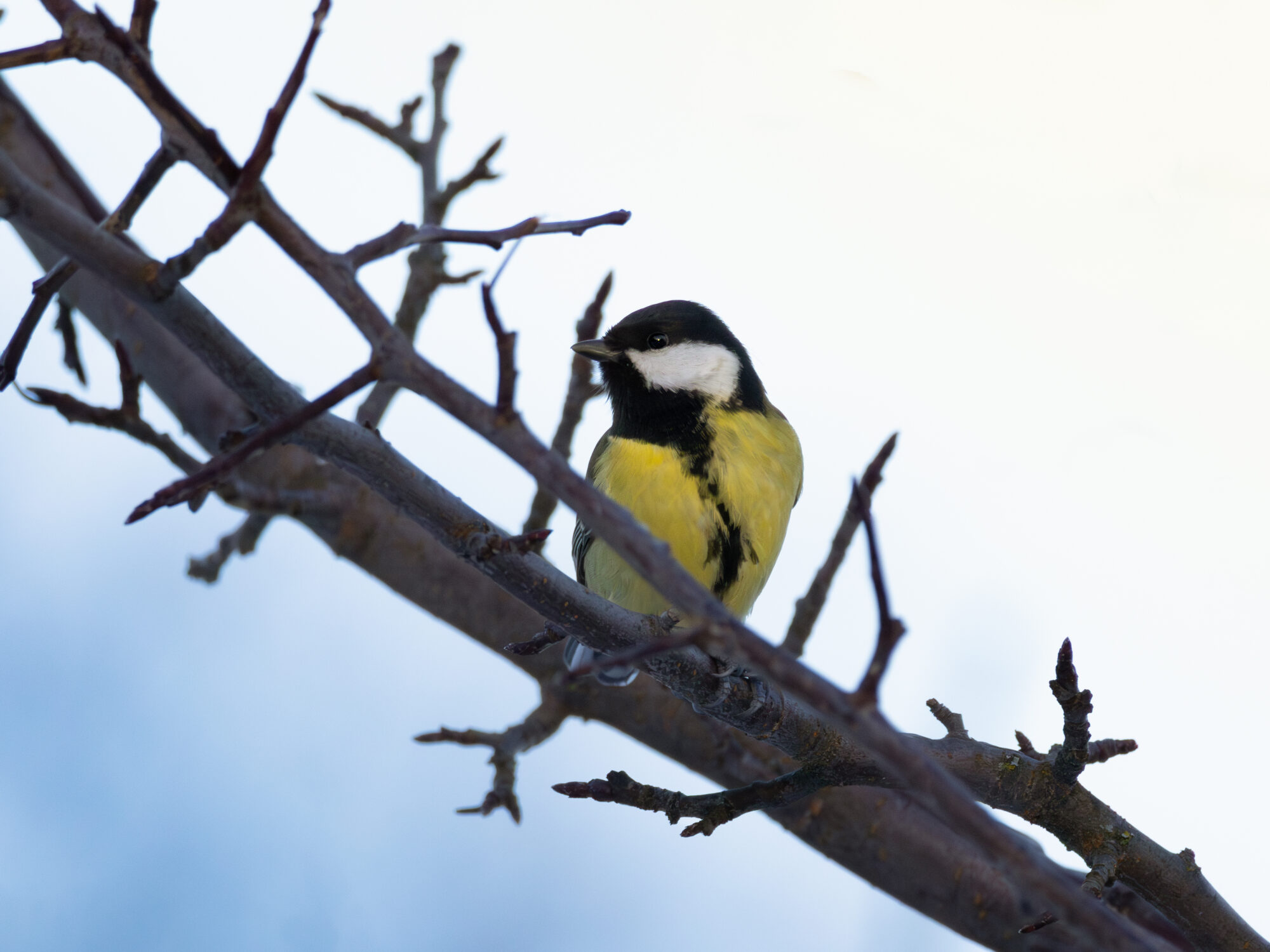 Valokuvaaja: Leevi Halme Valokuvaaja: Leevi Halme