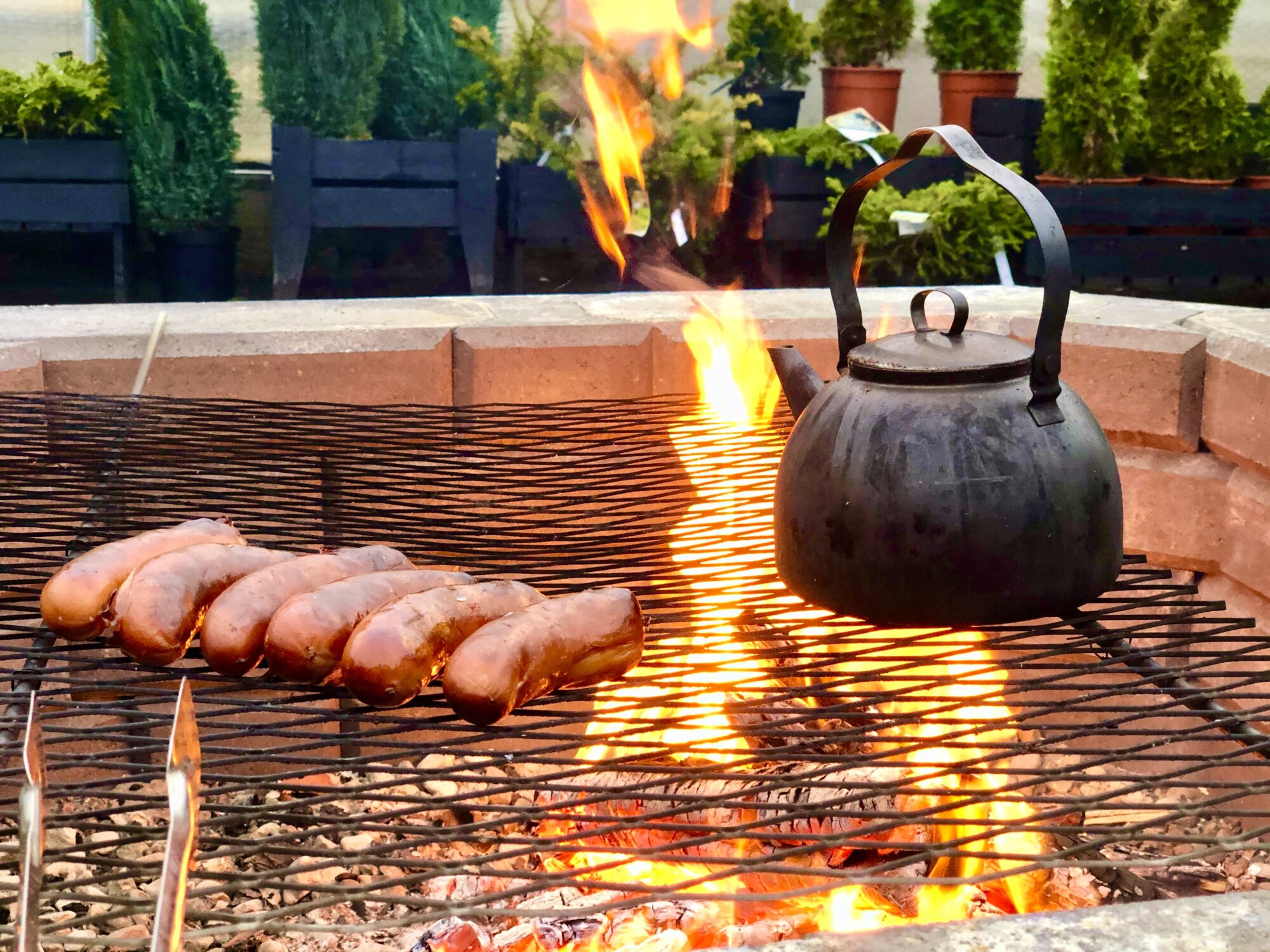 Valokuvaaja: Juhani Peltonen