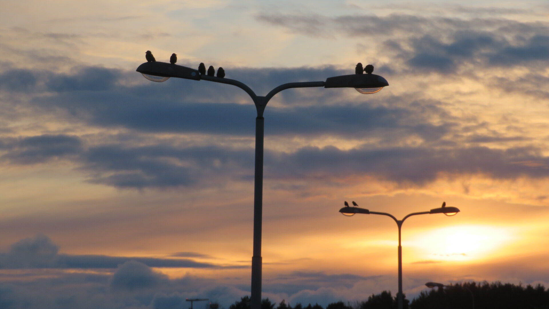 Valokuvaaja: Risto Kangassalo