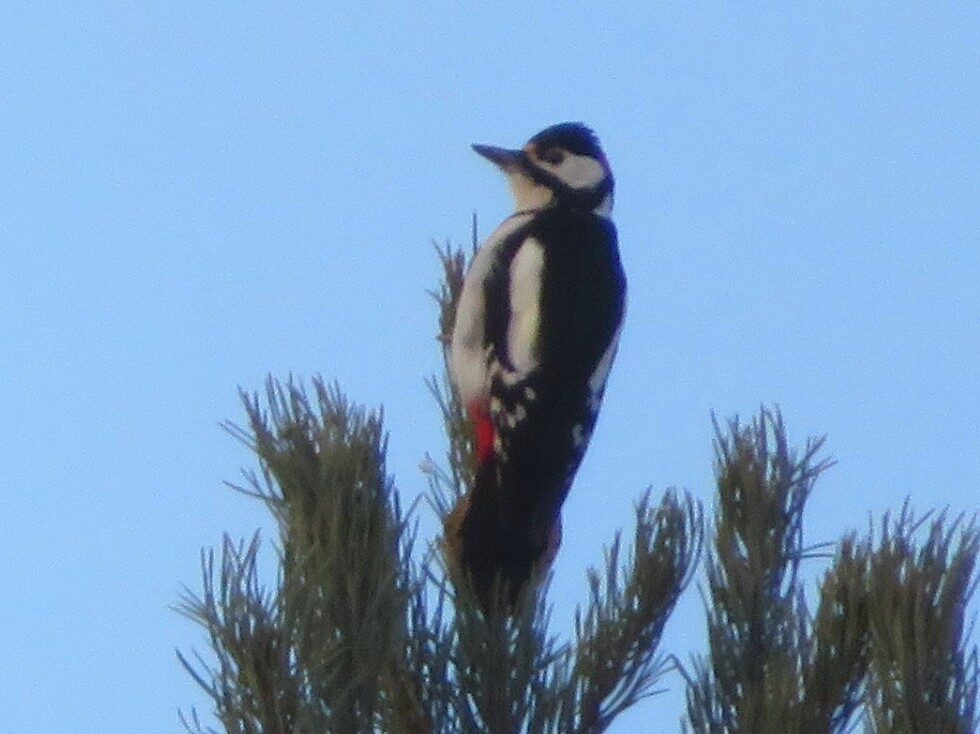 Valokuvaaja: Risto Kangassalo Valokuvaaja: Risto Kangassalo