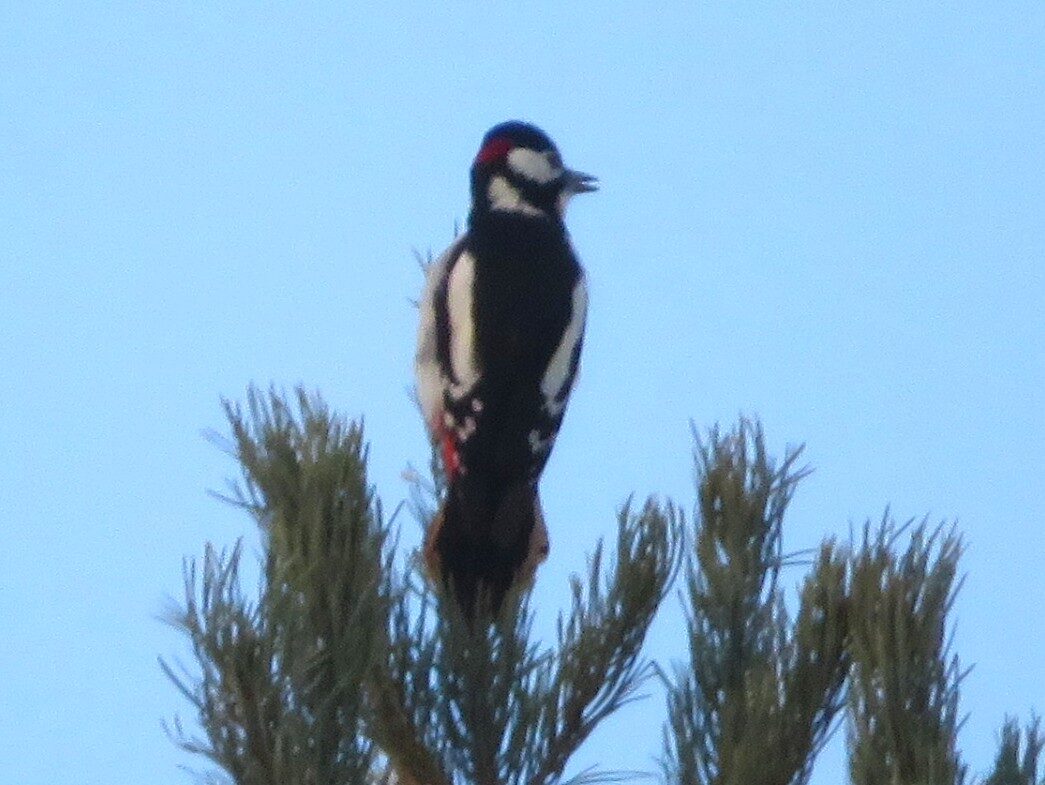 Valokuvaaja: Risto Kangassalo