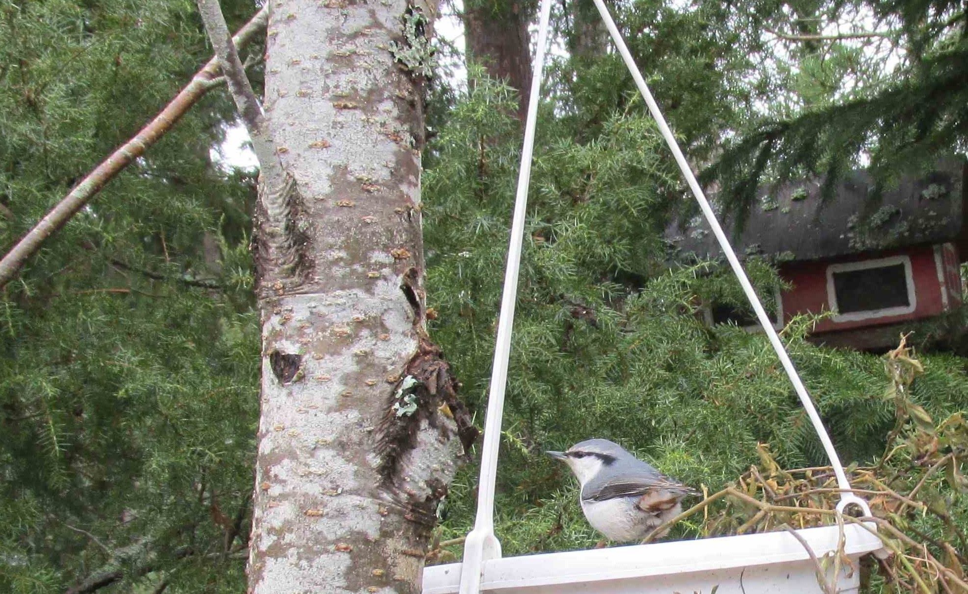 Valokuvaaja: Tarja-Liisa Viitala