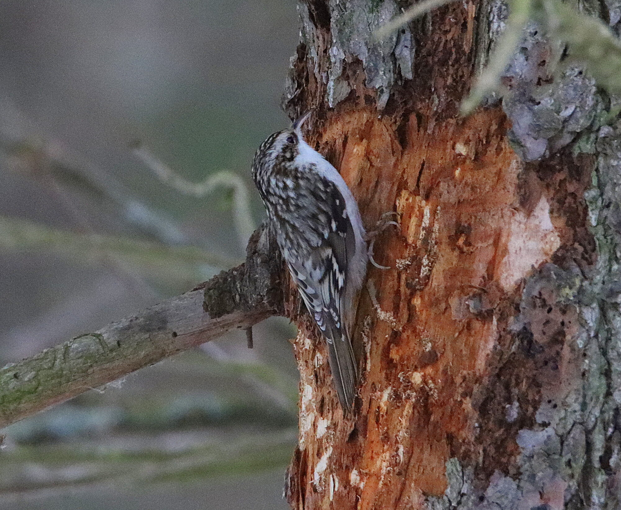 Valokuvaaja: Irja Lehtinen