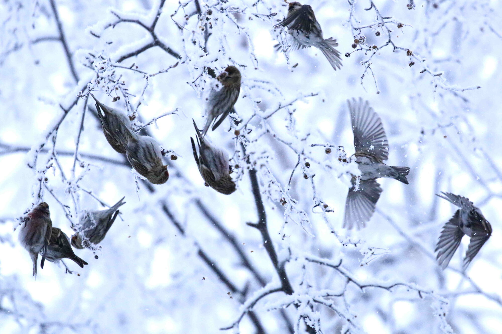 Valokuvaaja: Antero Tykkyläinen