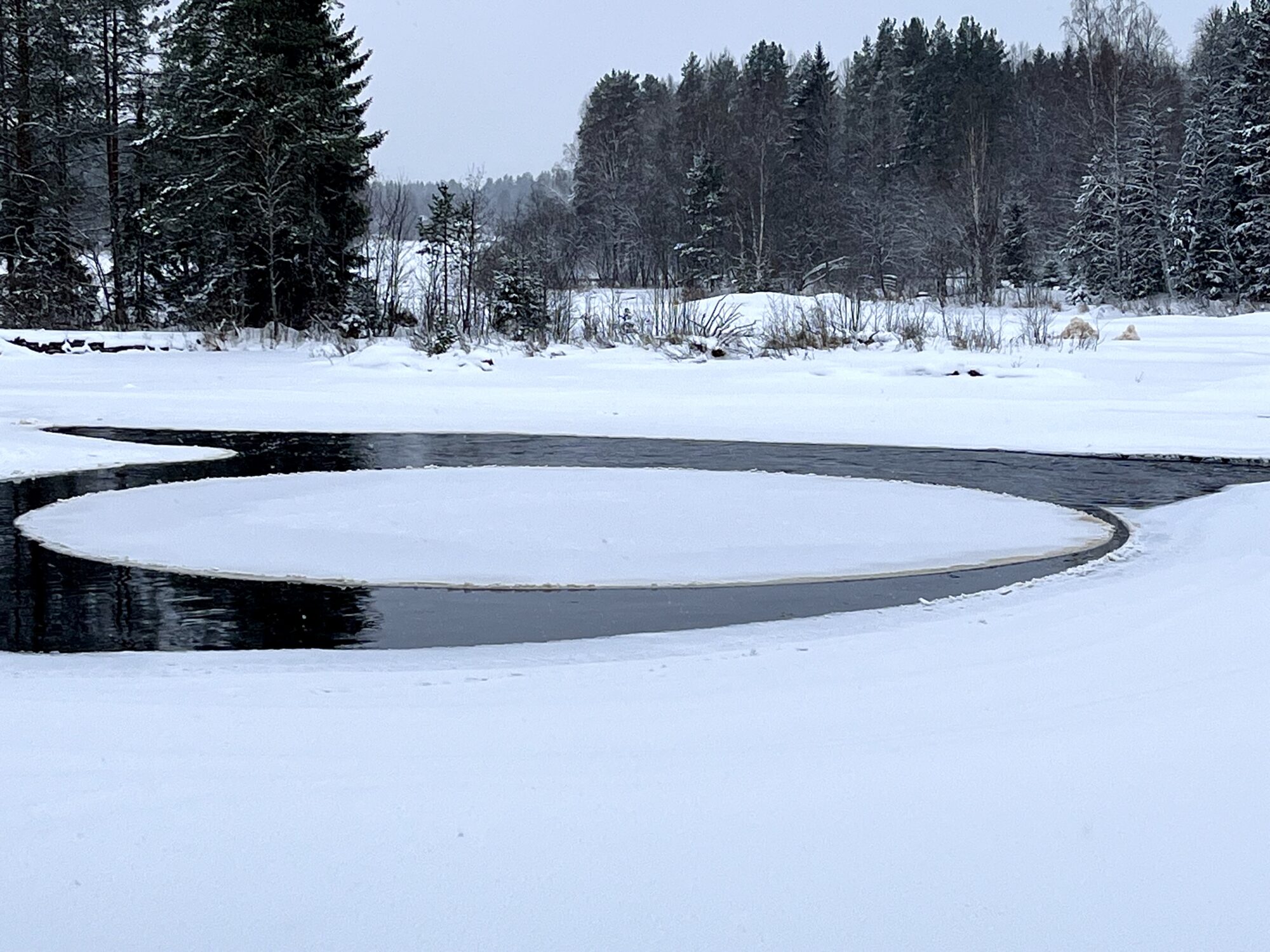 Valokuvaaja: Tuukka Pahtamaa