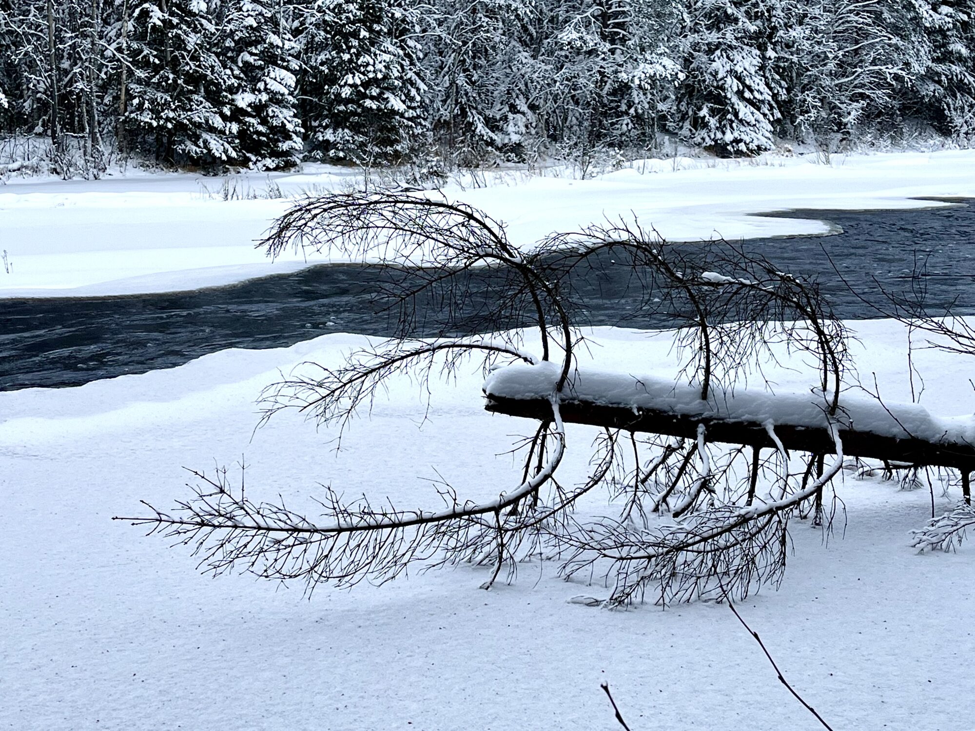 Valokuvaaja: Tuukka Pahtamaa