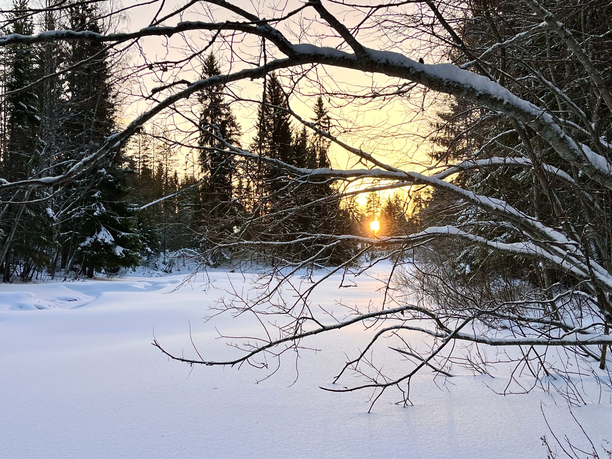 Valokuvaaja: Tuukka Pahtamaa