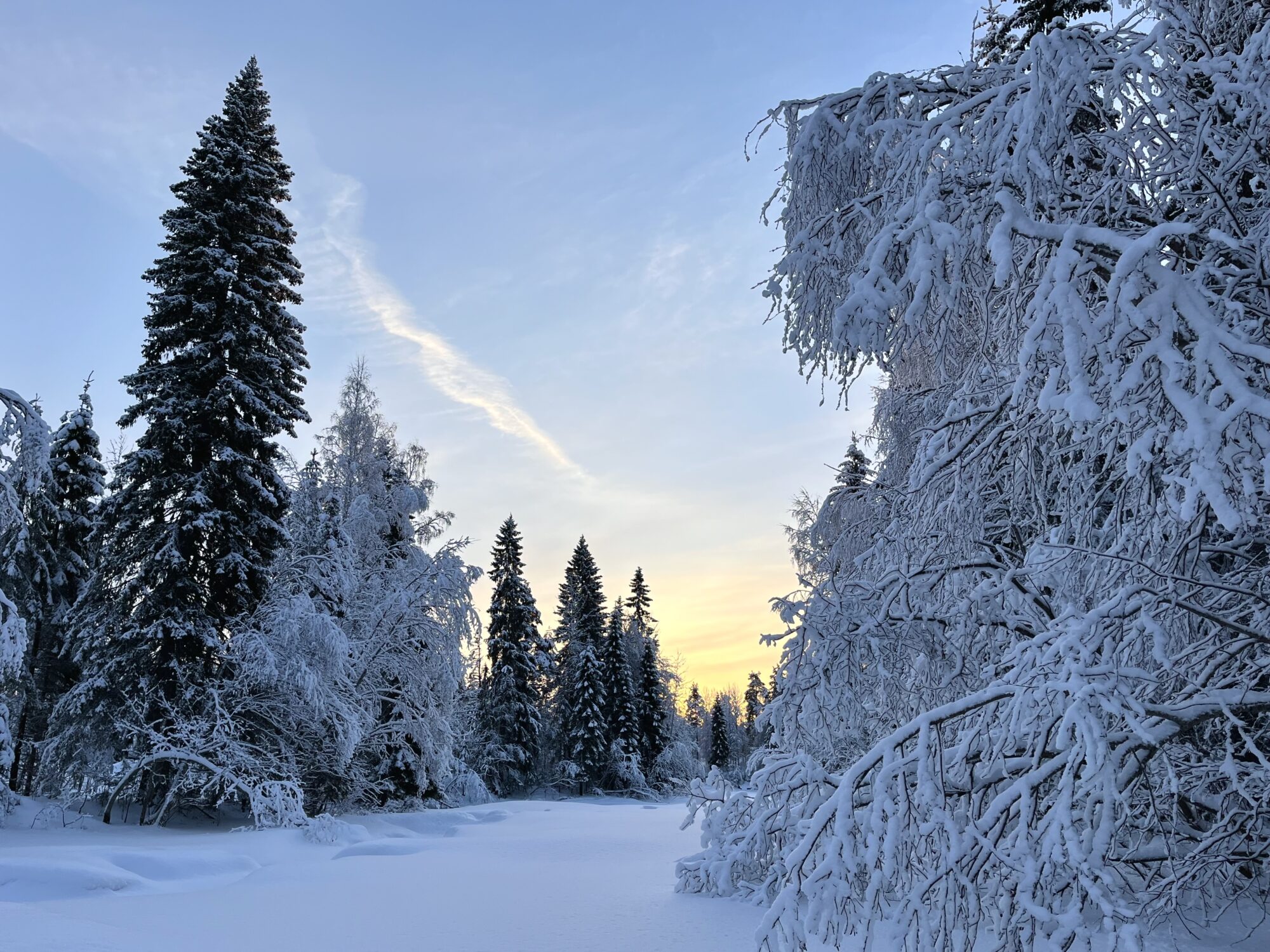 Valokuvaaja: Tuukka Pahtamaa