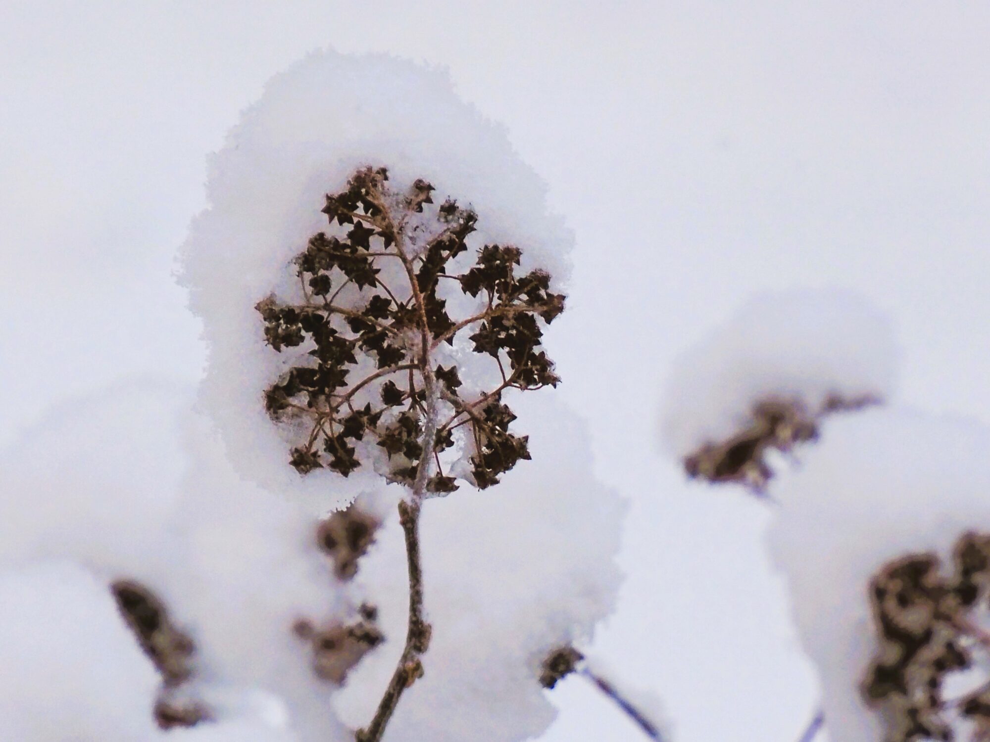 Valokuvaaja: Martti Valtonen