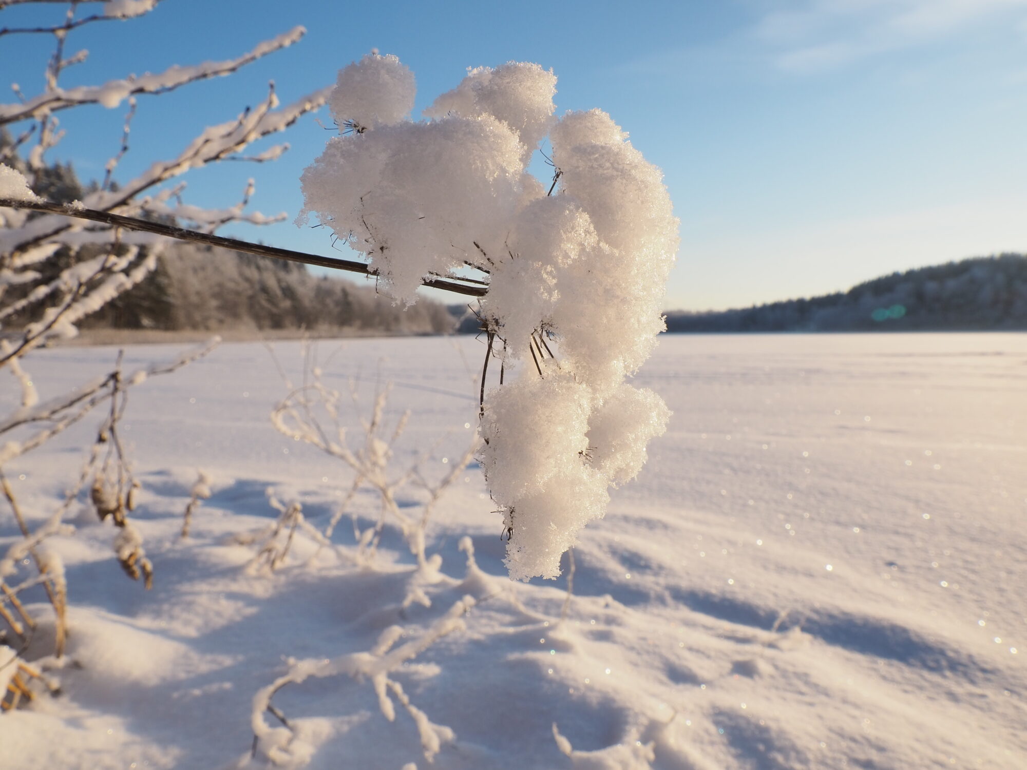Valokuvaaja: Martti Valtonen