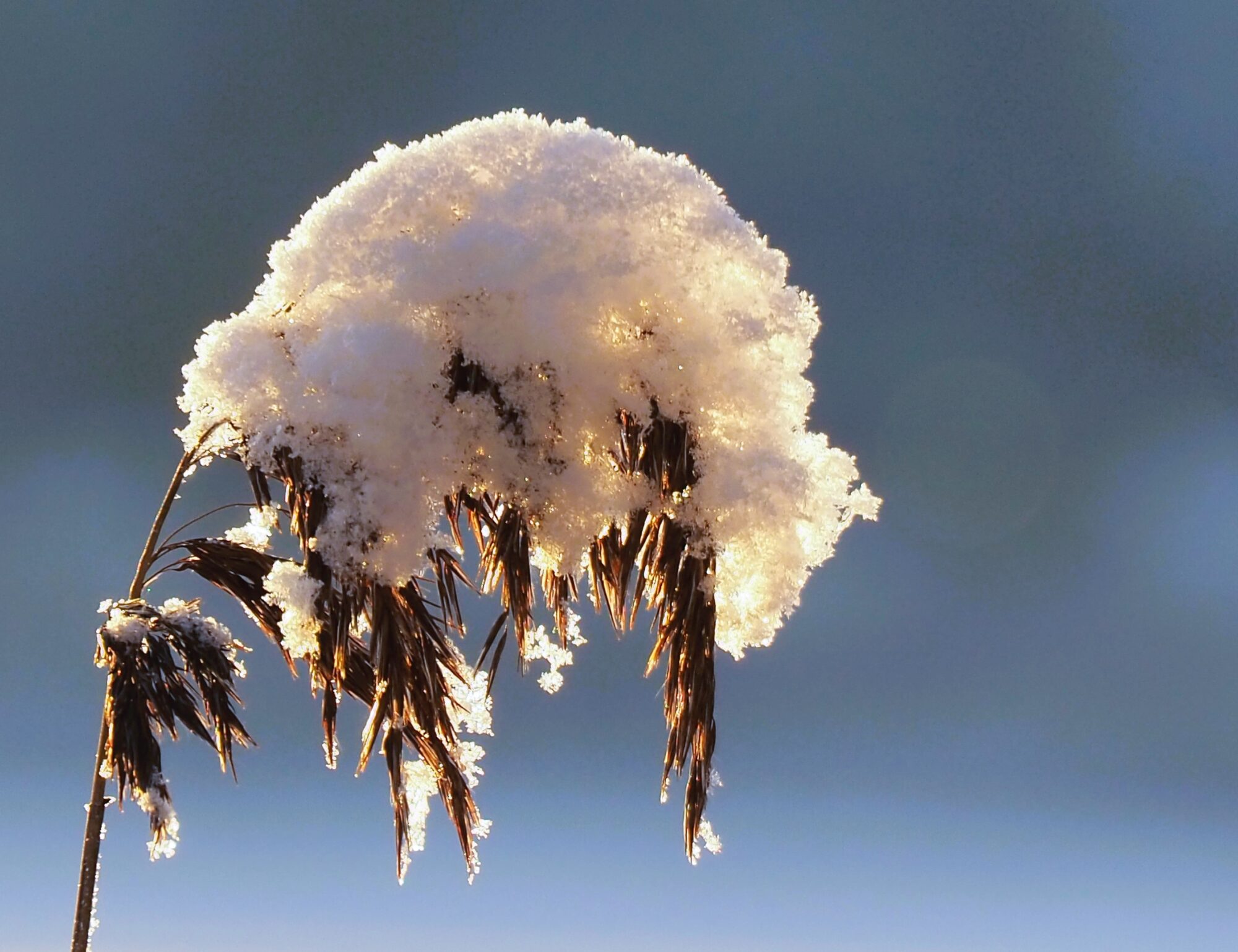 Valokuvaaja: Martti Valtonen