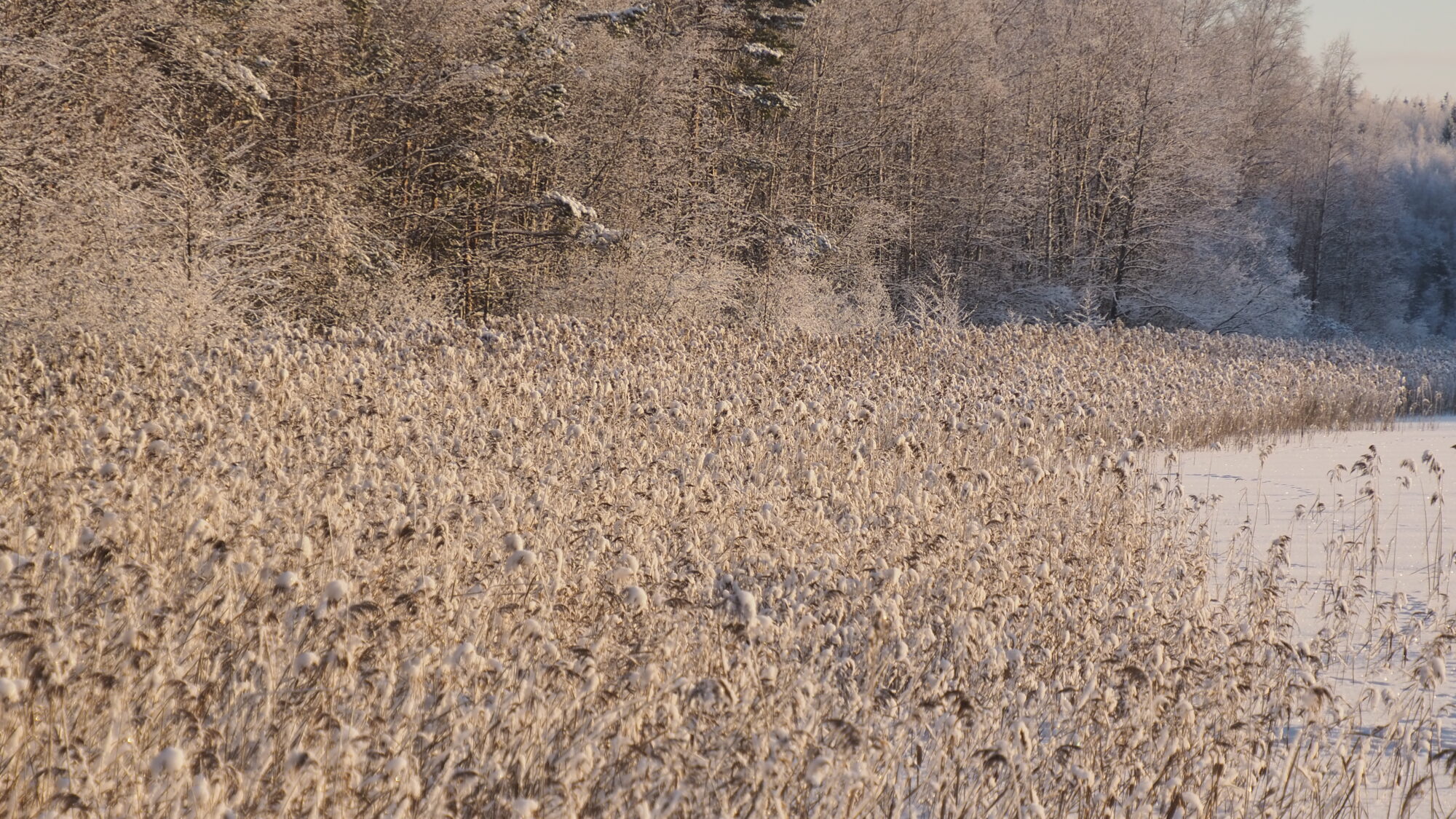 Valokuvaaja: Martti Valtonen