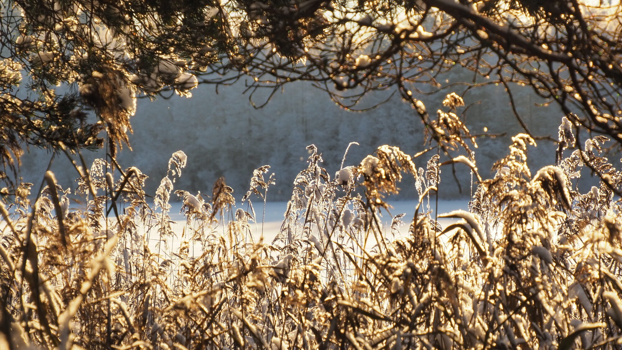 Valokuvaaja: Martti Valtonen
