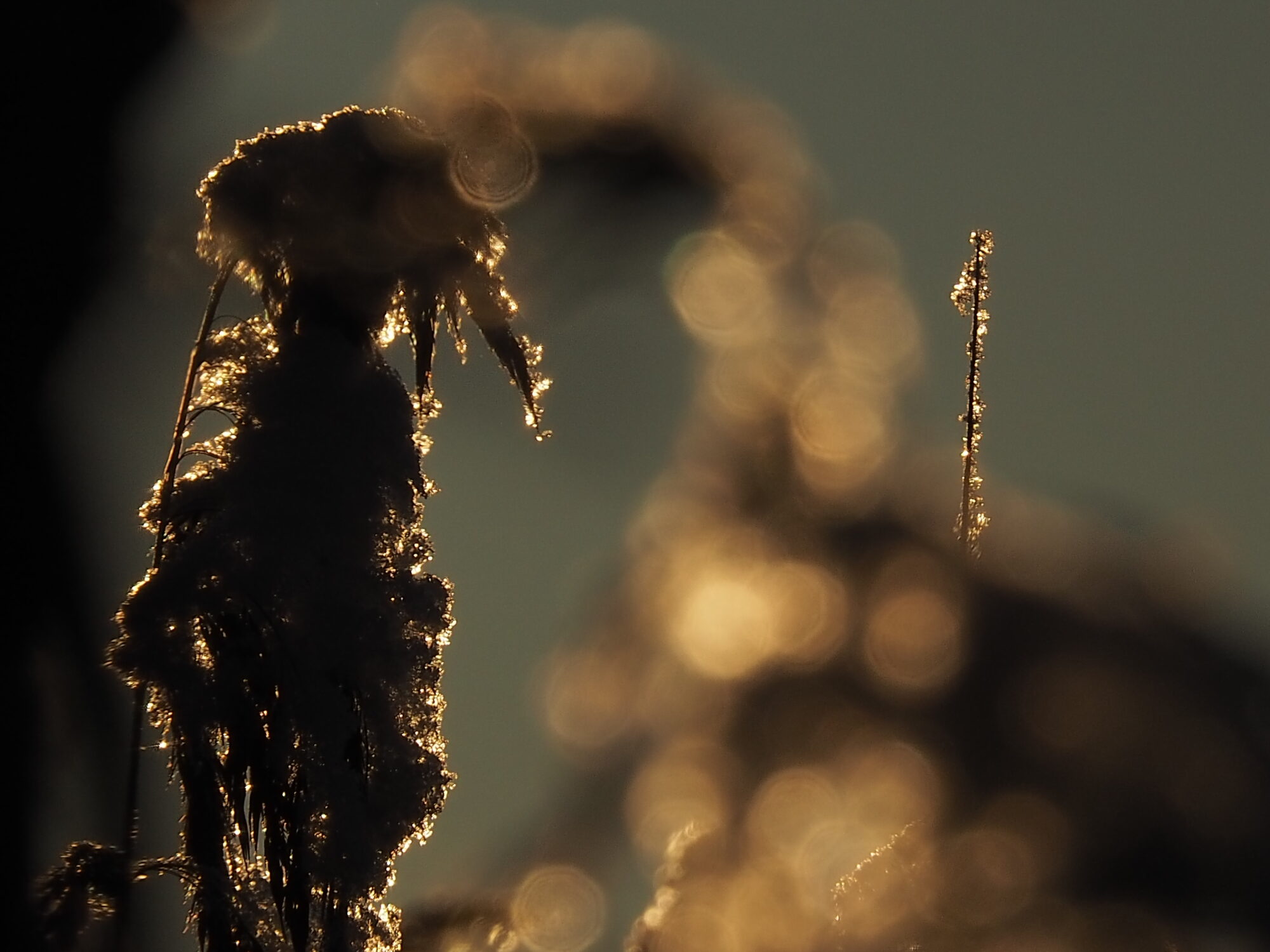 Valokuvaaja: Martti Valtonen