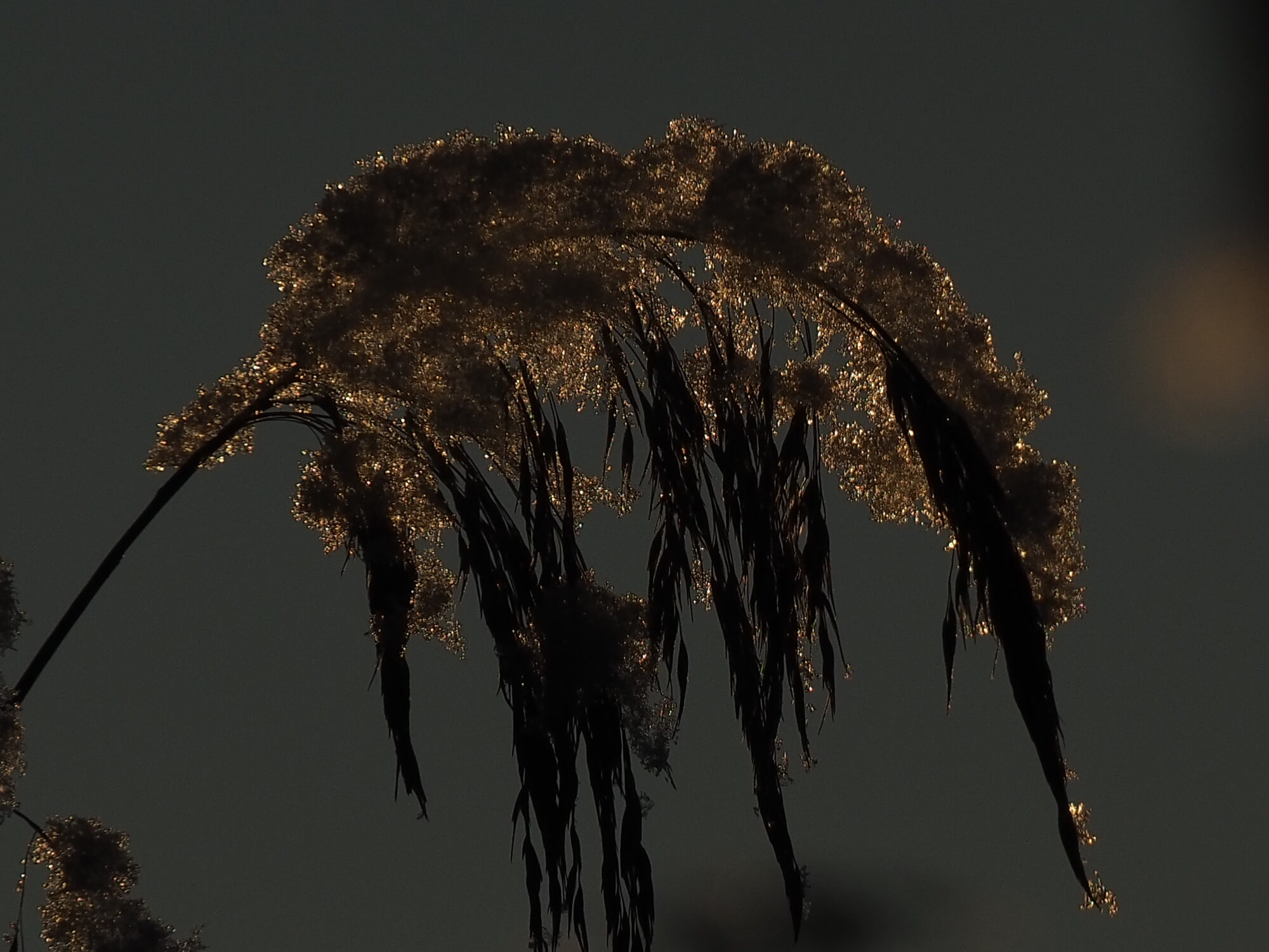 Valokuvaaja: Martti Valtonen