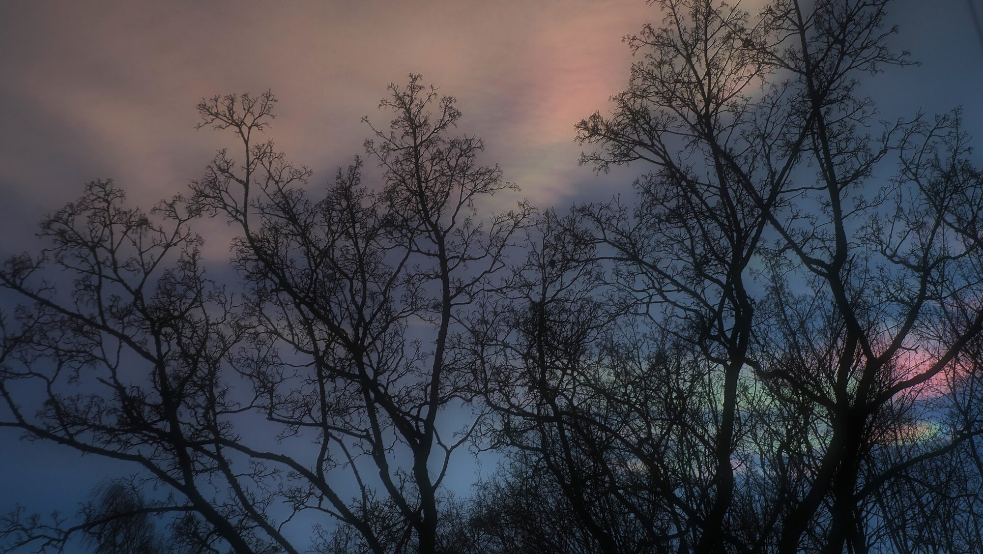 Valokuvaaja: Arja Valtonen