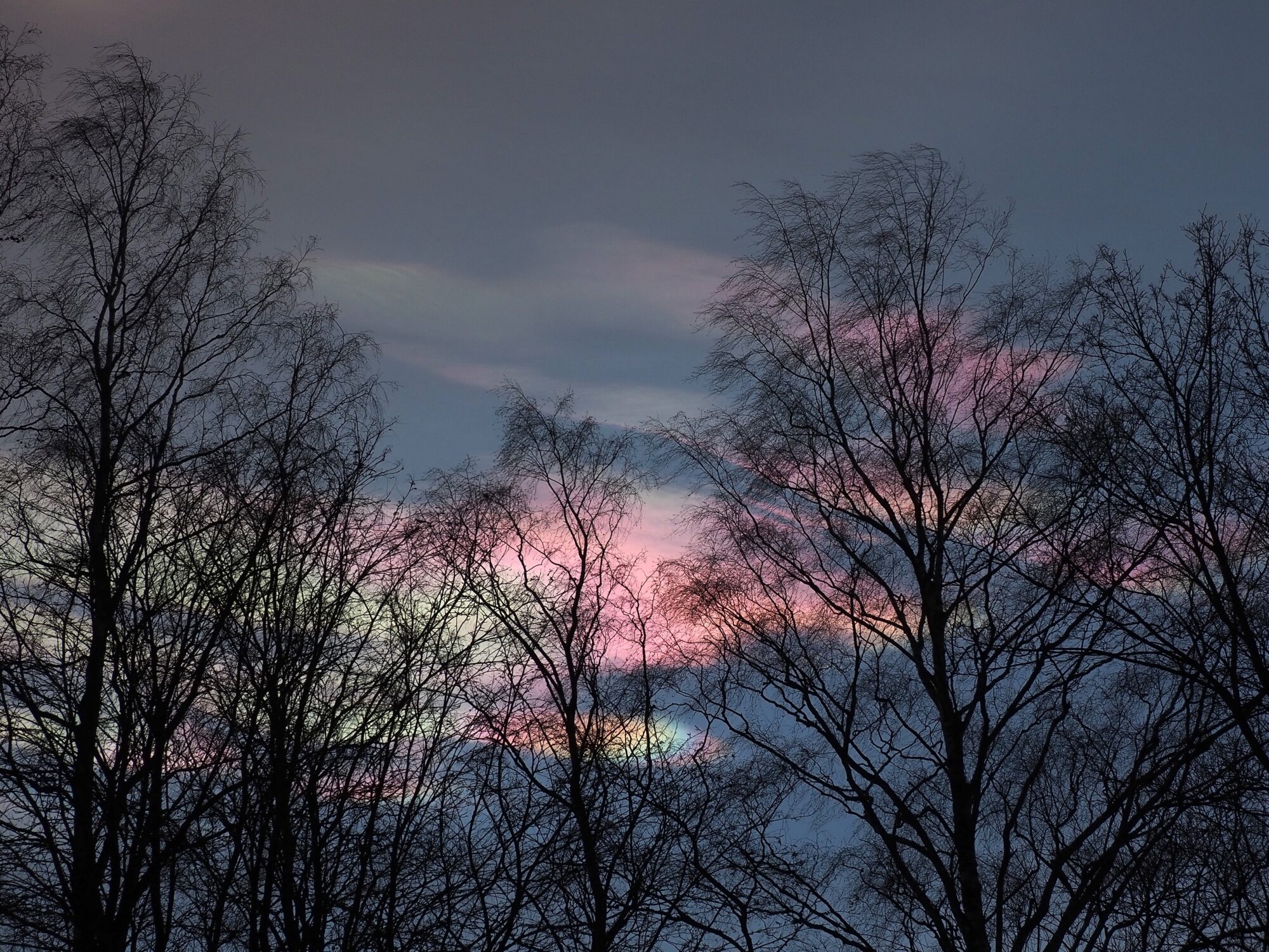 Valokuvaaja: Martti Valtonen