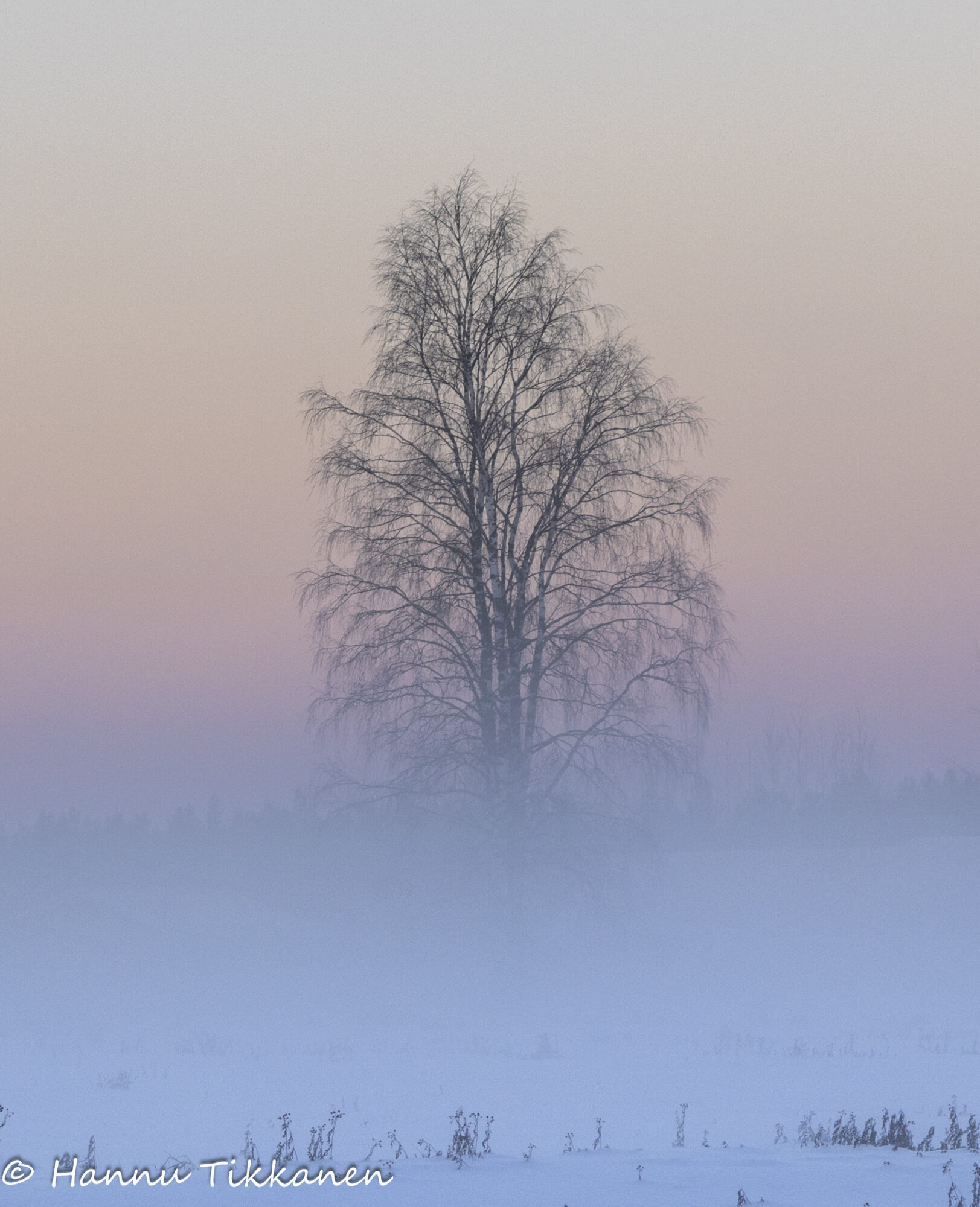 Valokuvaaja: Hannu Tikkanen