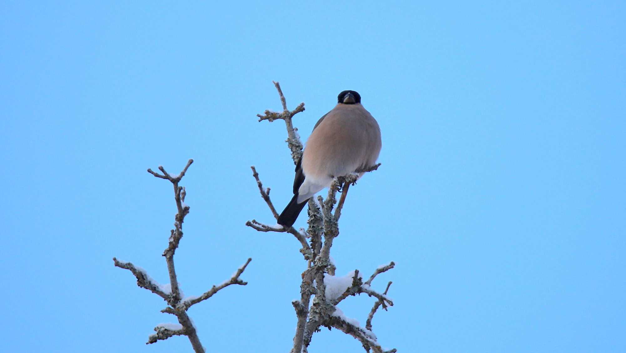 Valokuvaaja: sirpa Jyske