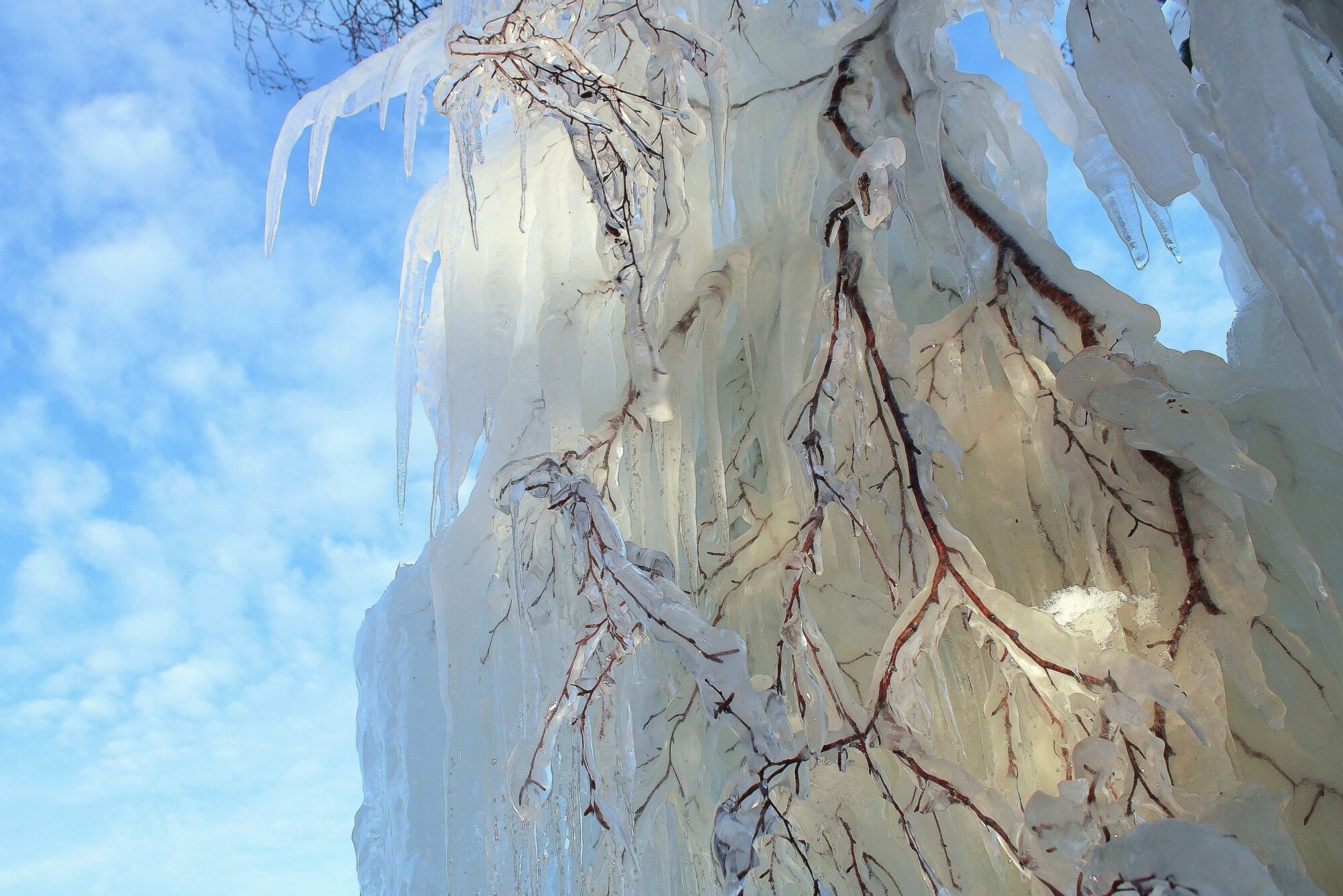 Valokuvaaja: Paula Savelius