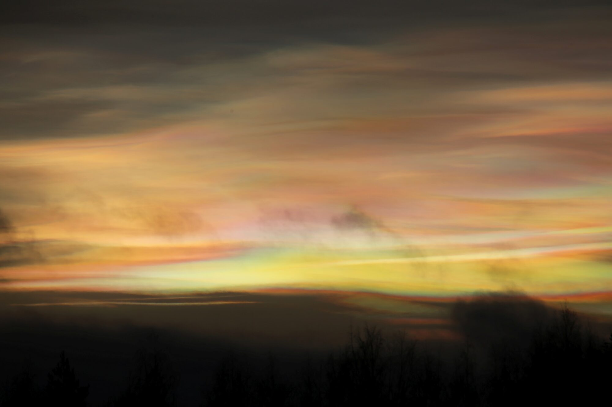 Valokuvaaja: Jaana Saarelainen