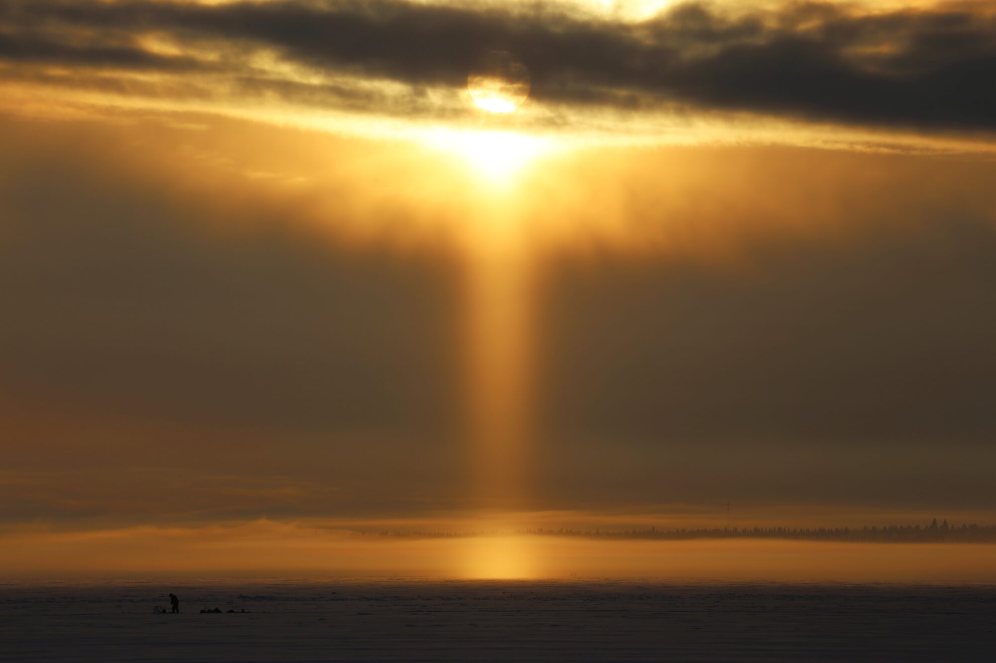 Valokuvaaja: Jaana Saarelainen