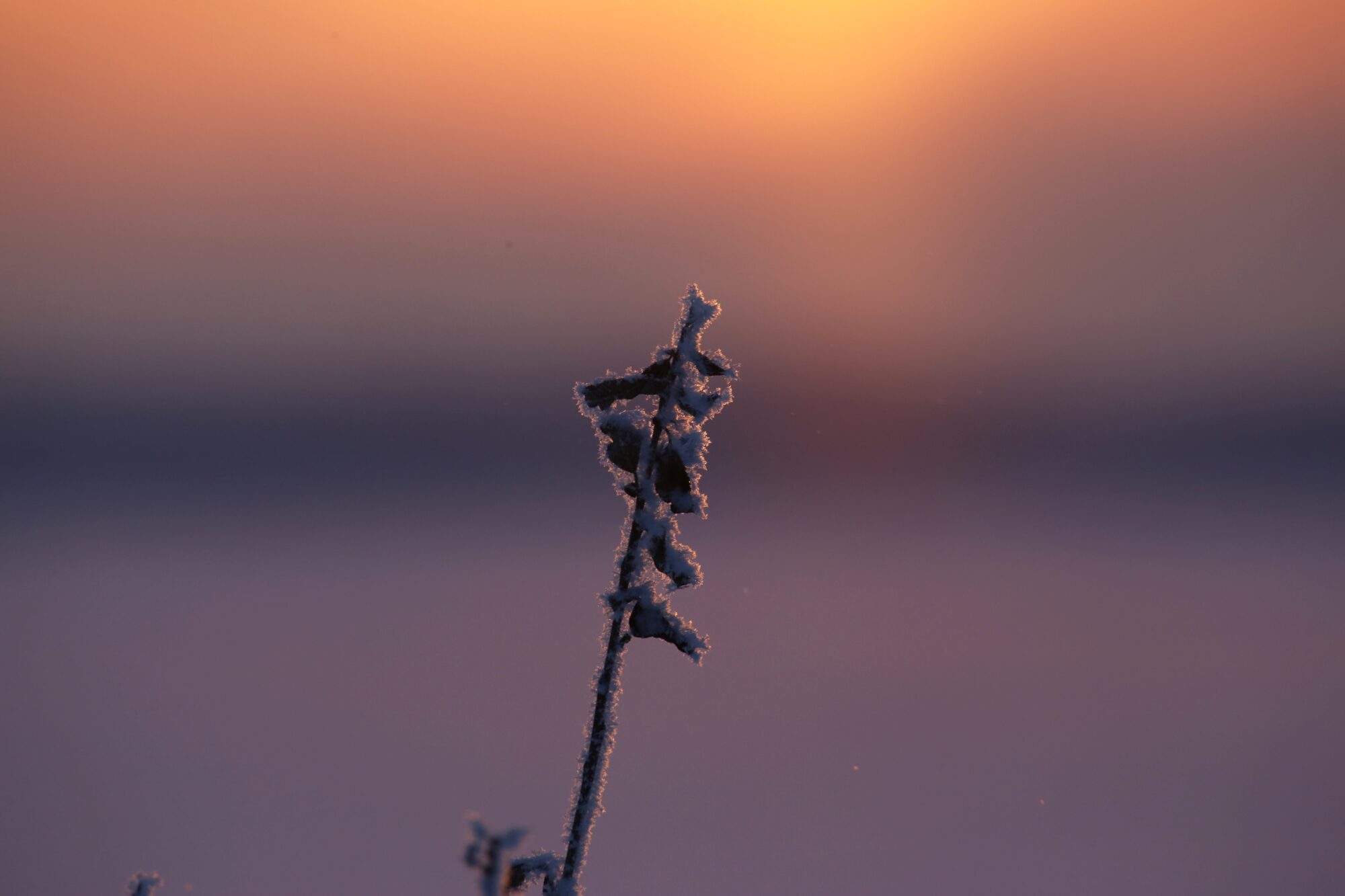 Valokuvaaja: Jaana Saarelainen Valokuvaaja: Jaana Saarelainen