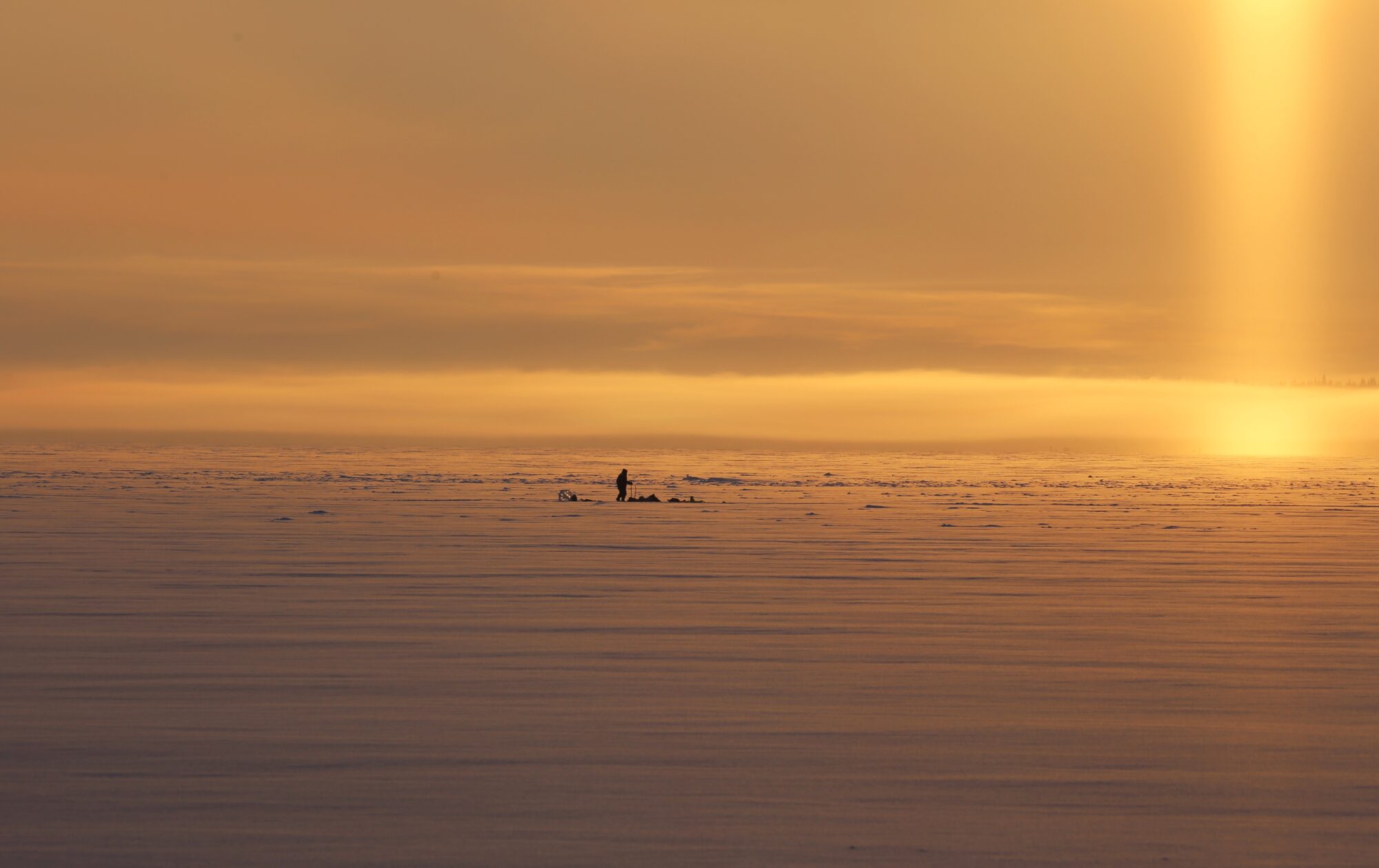 Valokuvaaja: Jaana Saarelainen