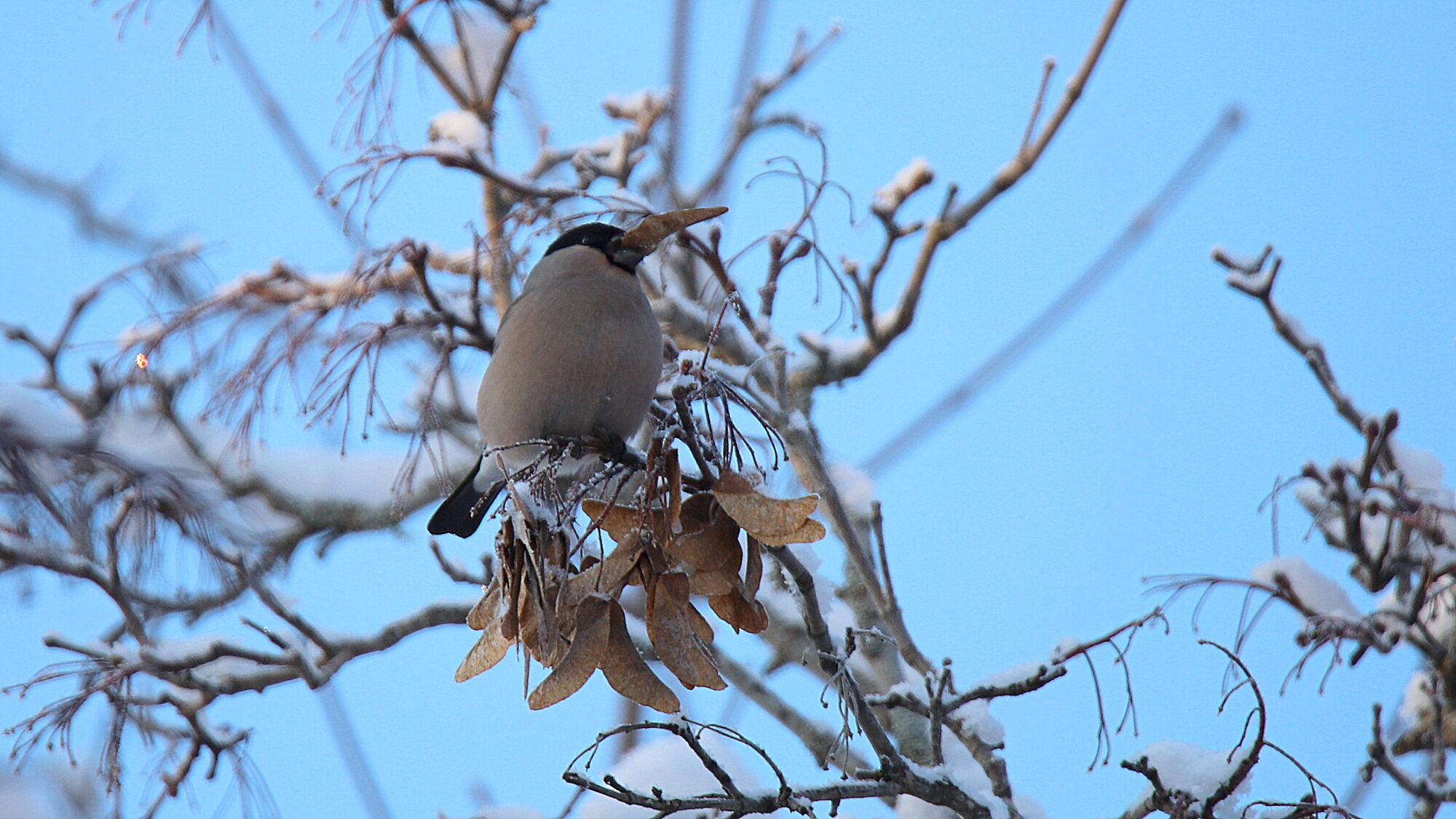 Valokuvaaja: sirpa Jyske