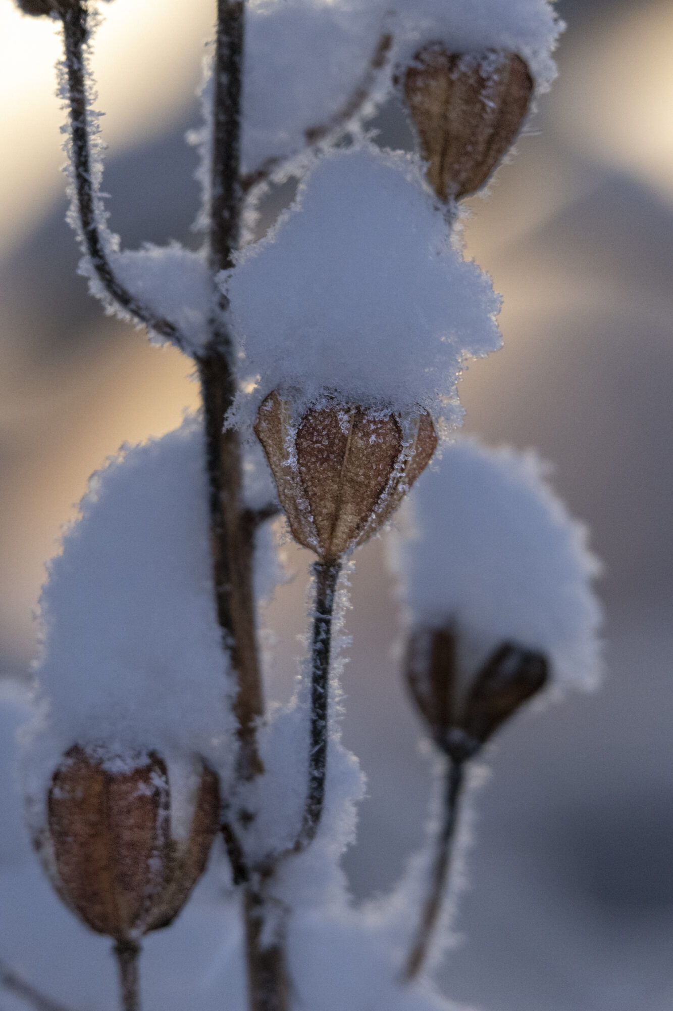 Valokuvaaja: Hannu Tikkanen
