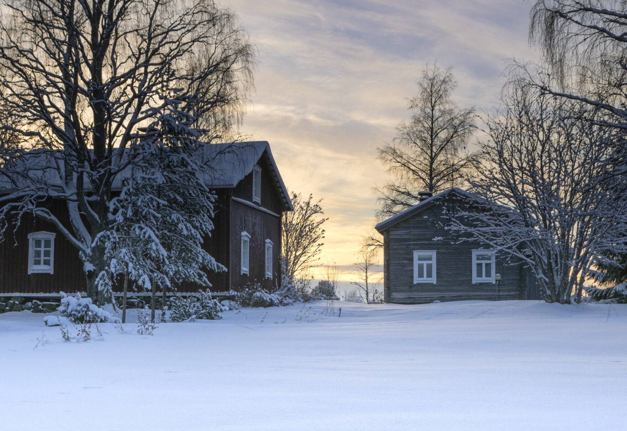 Valokuvaaja: Hannu Tikkanen