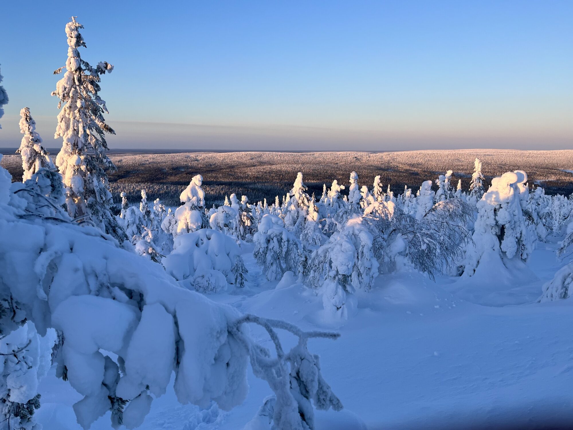 Valokuvaaja: Tuukka Pahtamaa
