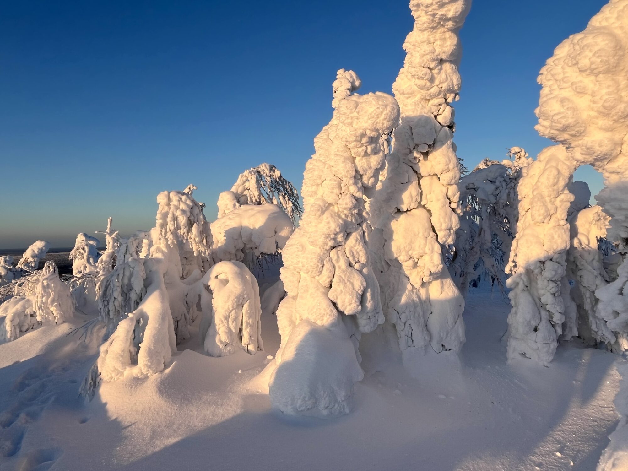 Valokuvaaja: Tuukka Pahtamaa