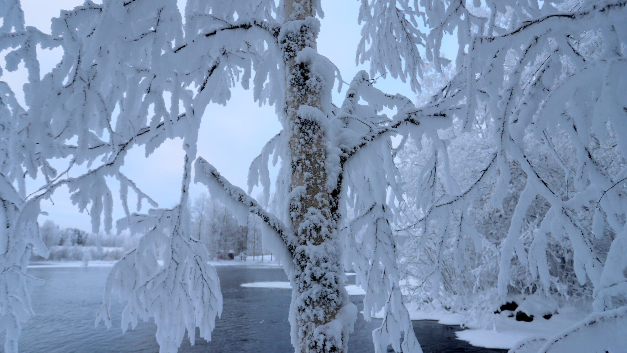 Valokuvaaja: sirpa Jyske