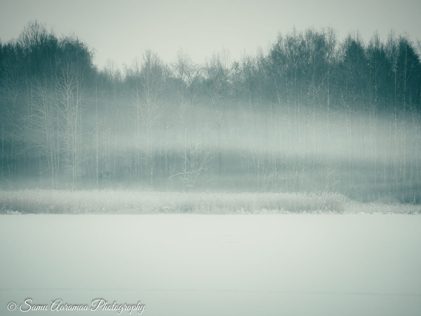 Valokuvaaja: Samu Aaramaa Photography