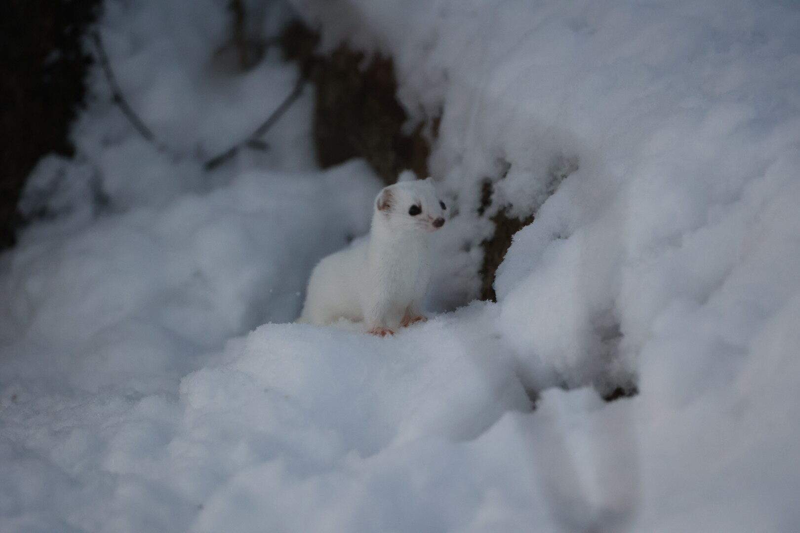 Valokuvaaja: Ilkka Aittamaa