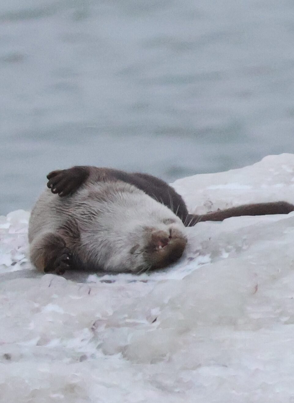 Valokuvaaja: Hanna Rönty