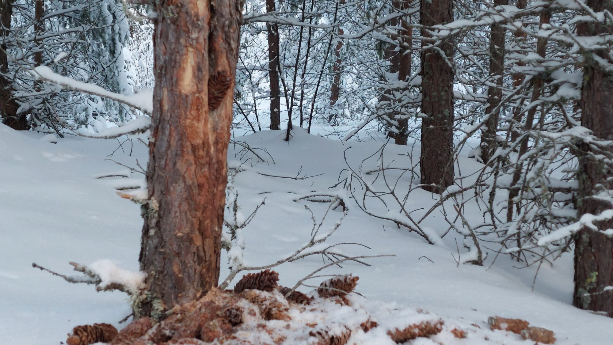 Valokuvaaja: Tarja Naukkarinen Valokuvaaja: Tarja Naukkarinen