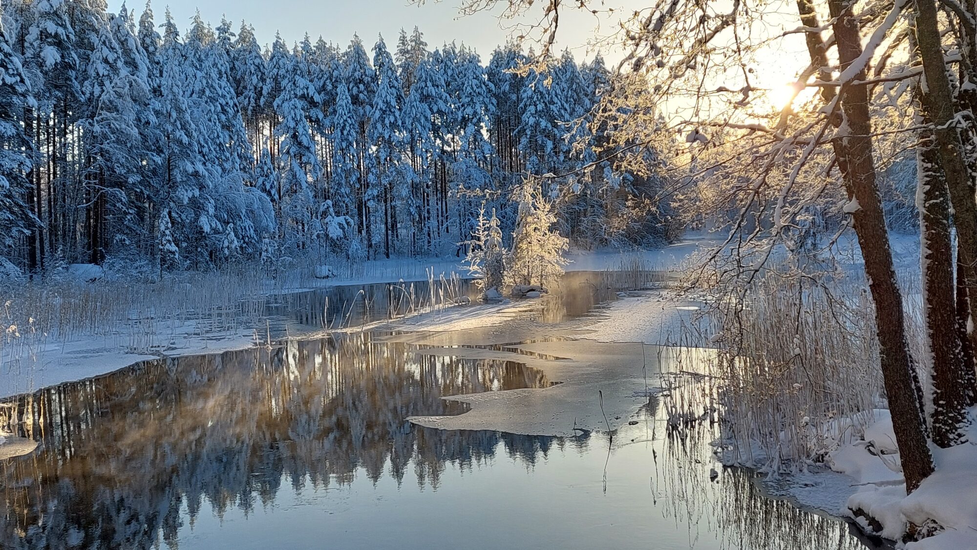 Valokuvaaja: Tarja Naukkarinen