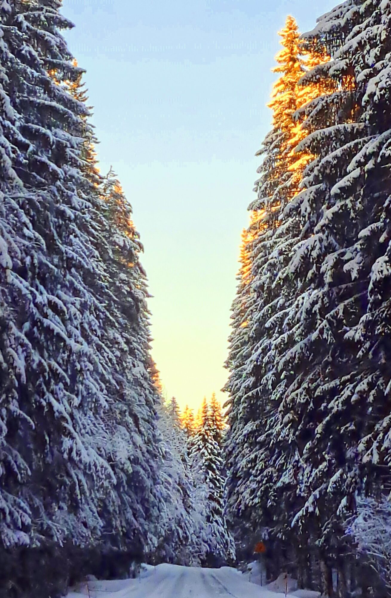Valokuvaaja: Irja Lehtinen
