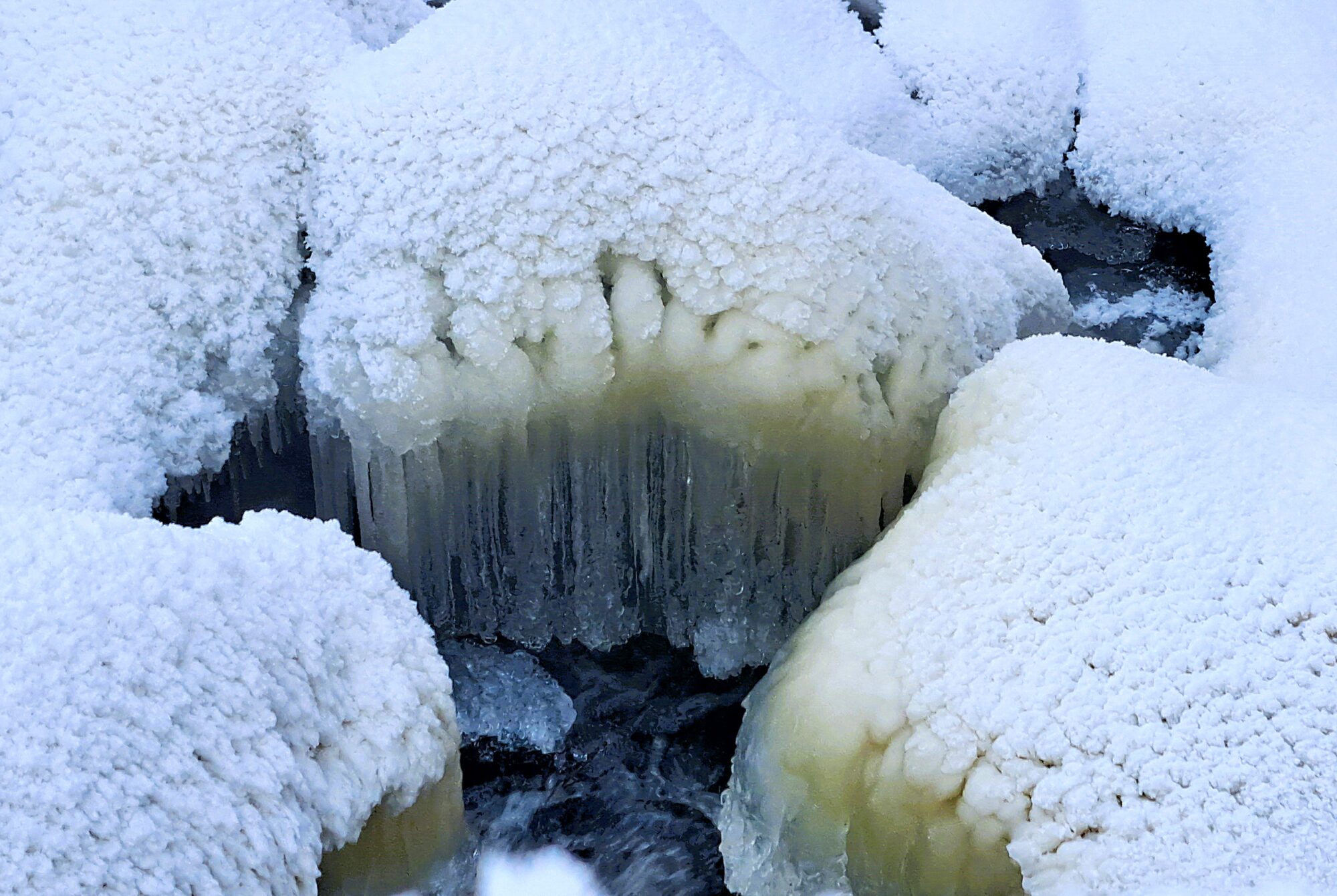 Valokuvaaja: Irja Lehtinen