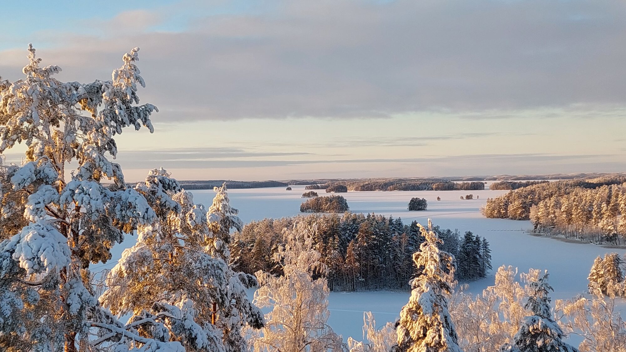 Valokuvaaja: Tarja Naukkarinen